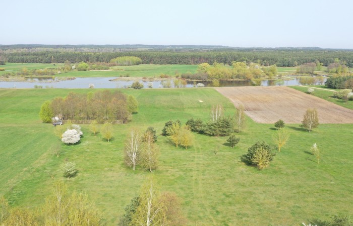 łomżyński, Nowogród, Śródpolna, Działki budowlane w pobliżu rzeki