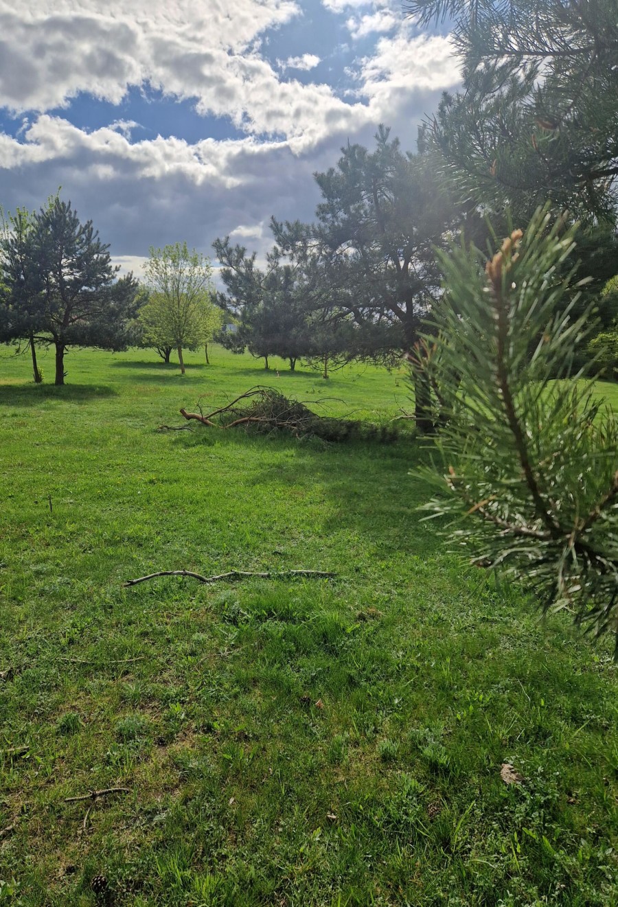 łomżyński, Nowogród, Śródpolna, Działki budowlane w pobliżu rzeki