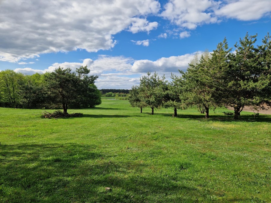 łomżyński, Nowogród, Śródpolna, Działki budowlane w pobliżu rzeki