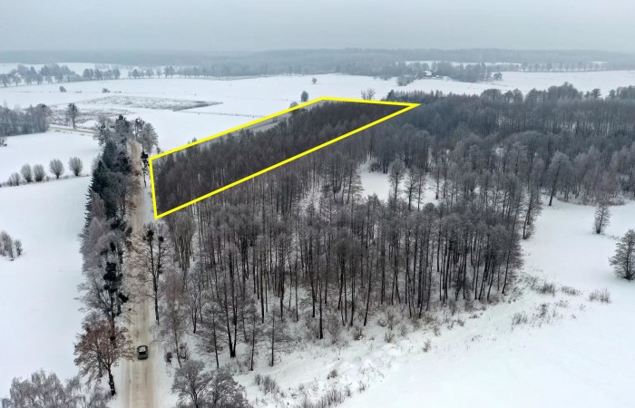 węgorzewski, Pozezdrze, Harsz, Działka Leśna 2 ha w m. Harsz gm Pozezdrze