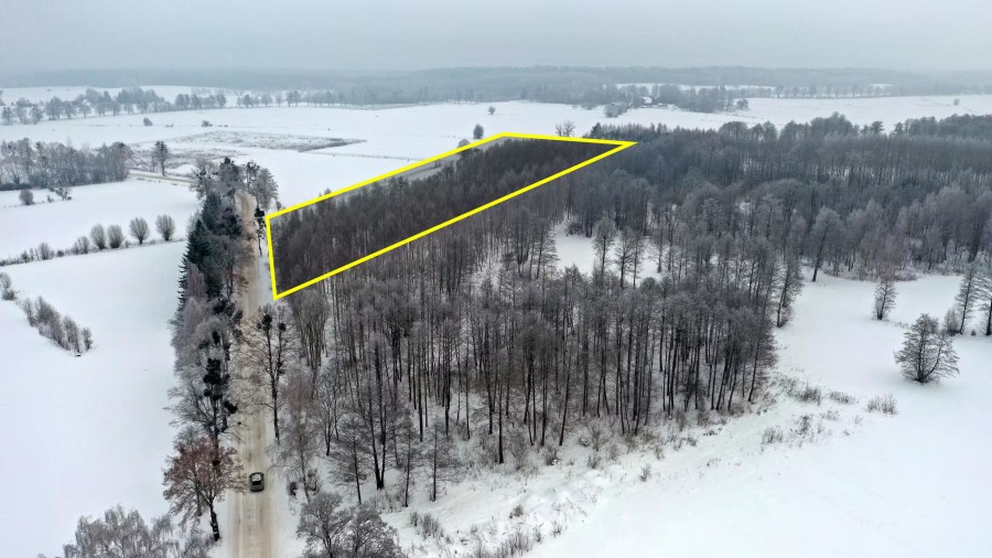 węgorzewski, Pozezdrze, Harsz, Działka Leśna 2 ha w m. Harsz gm Pozezdrze