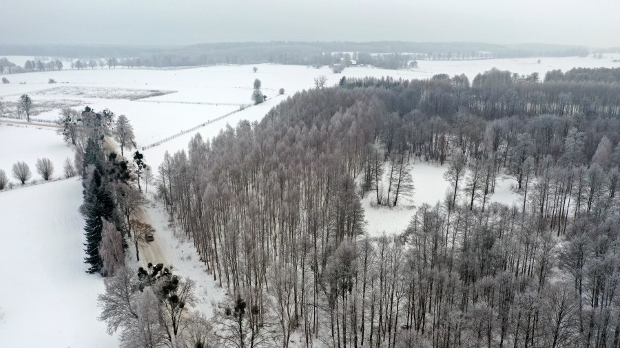 węgorzewski, Pozezdrze, Harsz, Działka Leśna 2 ha w m. Harsz gm Pozezdrze