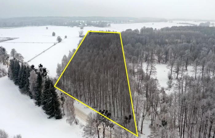 węgorzewski, Pozezdrze, Harsz, Działka Leśna 2 ha w m. Harsz gm Pozezdrze