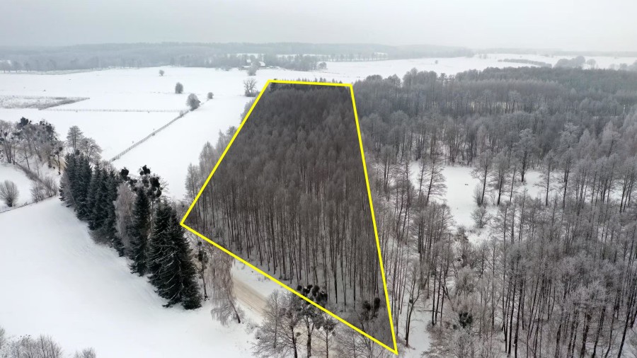 węgorzewski, Pozezdrze, Harsz, Działka Leśna 2 ha w m. Harsz gm Pozezdrze