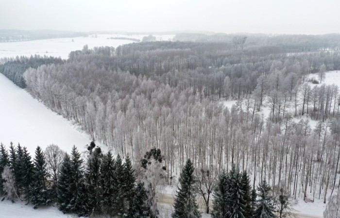 węgorzewski, Pozezdrze, Harsz, Działka Leśna 2 ha w m. Harsz gm Pozezdrze