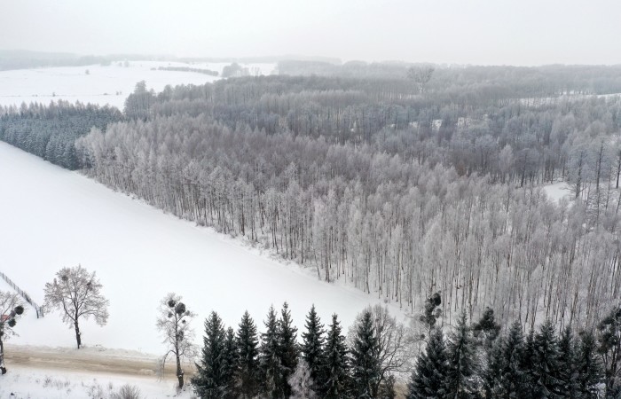 węgorzewski, Pozezdrze, Harsz, Działka Leśna 2 ha w m. Harsz gm Pozezdrze