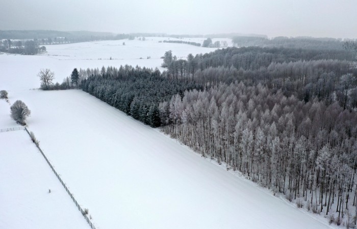 węgorzewski, Pozezdrze, Harsz, Działka Leśna 2 ha w m. Harsz gm Pozezdrze