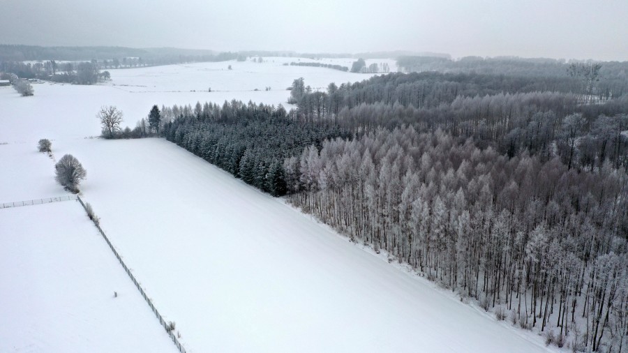 węgorzewski, Pozezdrze, Harsz, Działka Leśna 2 ha w m. Harsz gm Pozezdrze