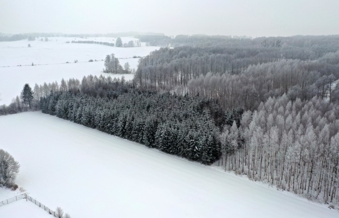 węgorzewski, Pozezdrze, Harsz, Działka Leśna 2 ha w m. Harsz gm Pozezdrze