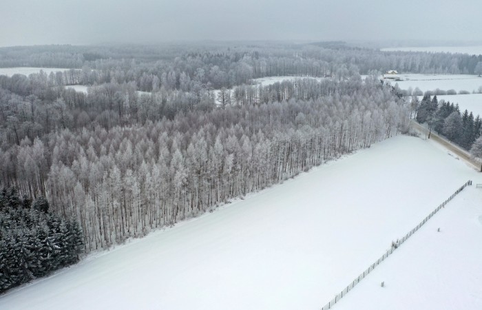 węgorzewski, Pozezdrze, Harsz, Działka Leśna 2 ha w m. Harsz gm Pozezdrze