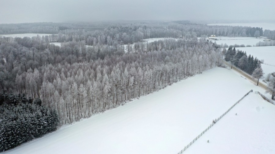 węgorzewski, Pozezdrze, Harsz, Działka Leśna 2 ha w m. Harsz gm Pozezdrze