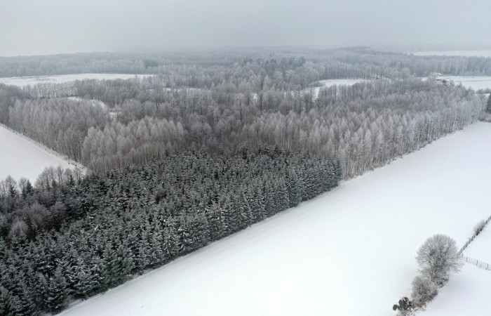 węgorzewski, Pozezdrze, Harsz, Działka Leśna 2 ha w m. Harsz gm Pozezdrze