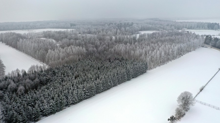 węgorzewski, Pozezdrze, Harsz, Działka Leśna 2 ha w m. Harsz gm Pozezdrze