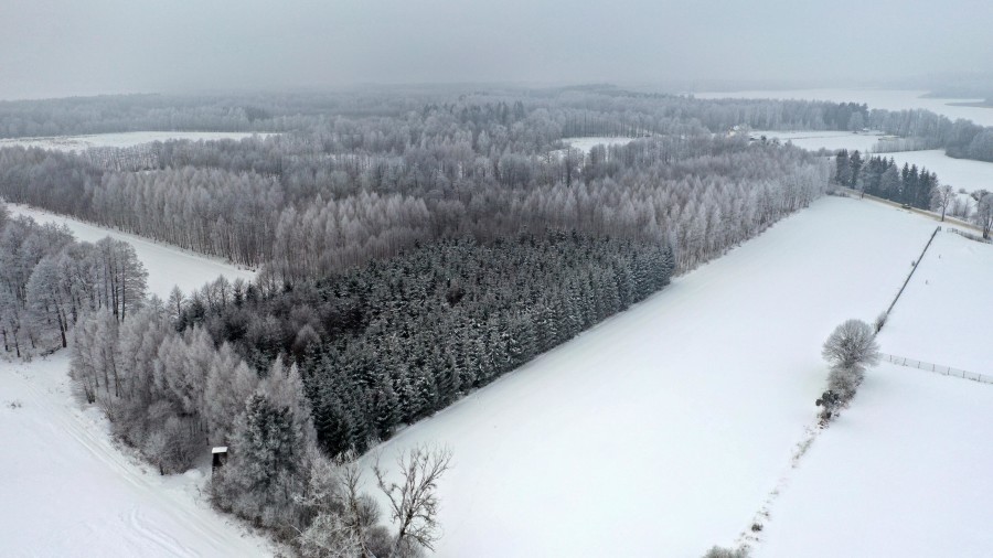 węgorzewski, Pozezdrze, Harsz, Działka Leśna 2 ha w m. Harsz gm Pozezdrze