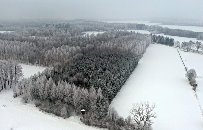 węgorzewski, Pozezdrze, Harsz, Działka Leśna 2 ha w m. Harsz gm Pozezdrze