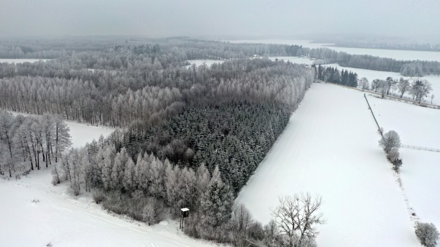 węgorzewski, Pozezdrze, Harsz, Działka Leśna 2 ha w m. Harsz gm Pozezdrze