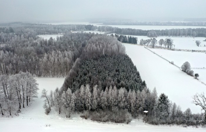węgorzewski, Pozezdrze, Harsz, Działka Leśna 2 ha w m. Harsz gm Pozezdrze