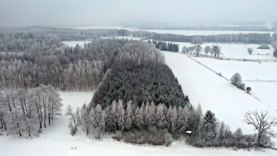 węgorzewski, Pozezdrze, Harsz, Działka Leśna 2 ha w m. Harsz gm Pozezdrze