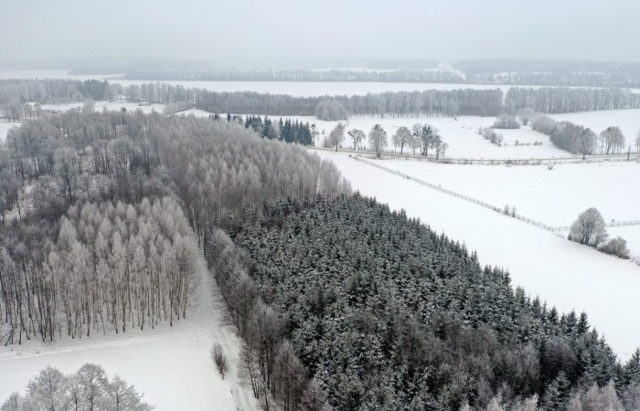 węgorzewski, Pozezdrze, Harsz, Działka Leśna 2 ha w m. Harsz gm Pozezdrze