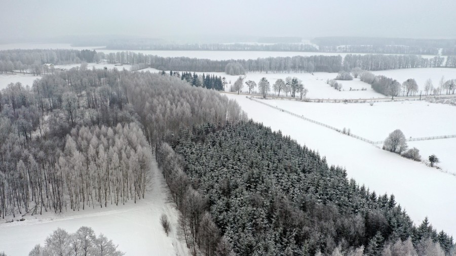 węgorzewski, Pozezdrze, Harsz, Działka Leśna 2 ha w m. Harsz gm Pozezdrze