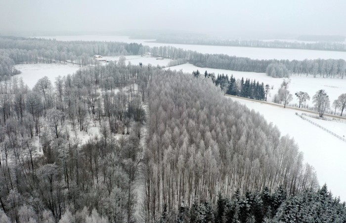 węgorzewski, Pozezdrze, Harsz, Działka Leśna 2 ha w m. Harsz gm Pozezdrze