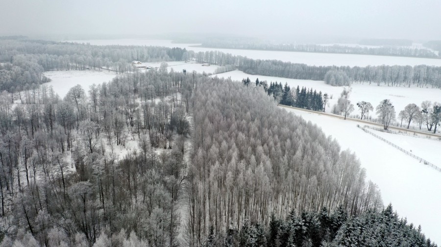 węgorzewski, Pozezdrze, Harsz, Działka Leśna 2 ha w m. Harsz gm Pozezdrze