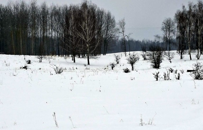 giżycki, Giżycko, Kozin, Wyjątkowe działki budowlane nad jeziorem Jagodne – Kozin gm Giżycko