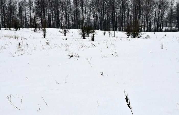 giżycki, Giżycko, Kozin, Wyjątkowe działki budowlane nad jeziorem Jagodne – Kozin gm Giżycko