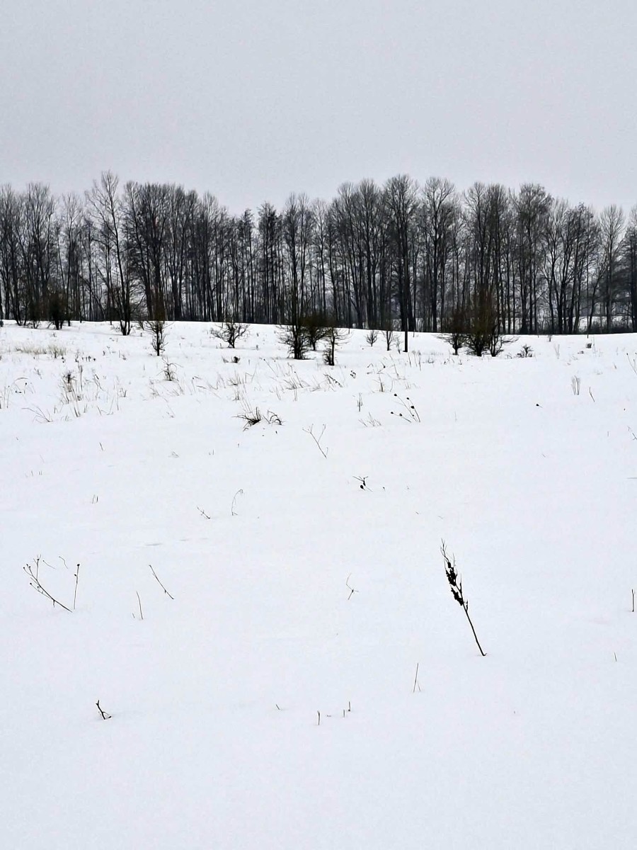 giżycki, Giżycko, Kozin, Wyjątkowe działki budowlane nad jeziorem Jagodne – Kozin gm Giżycko
