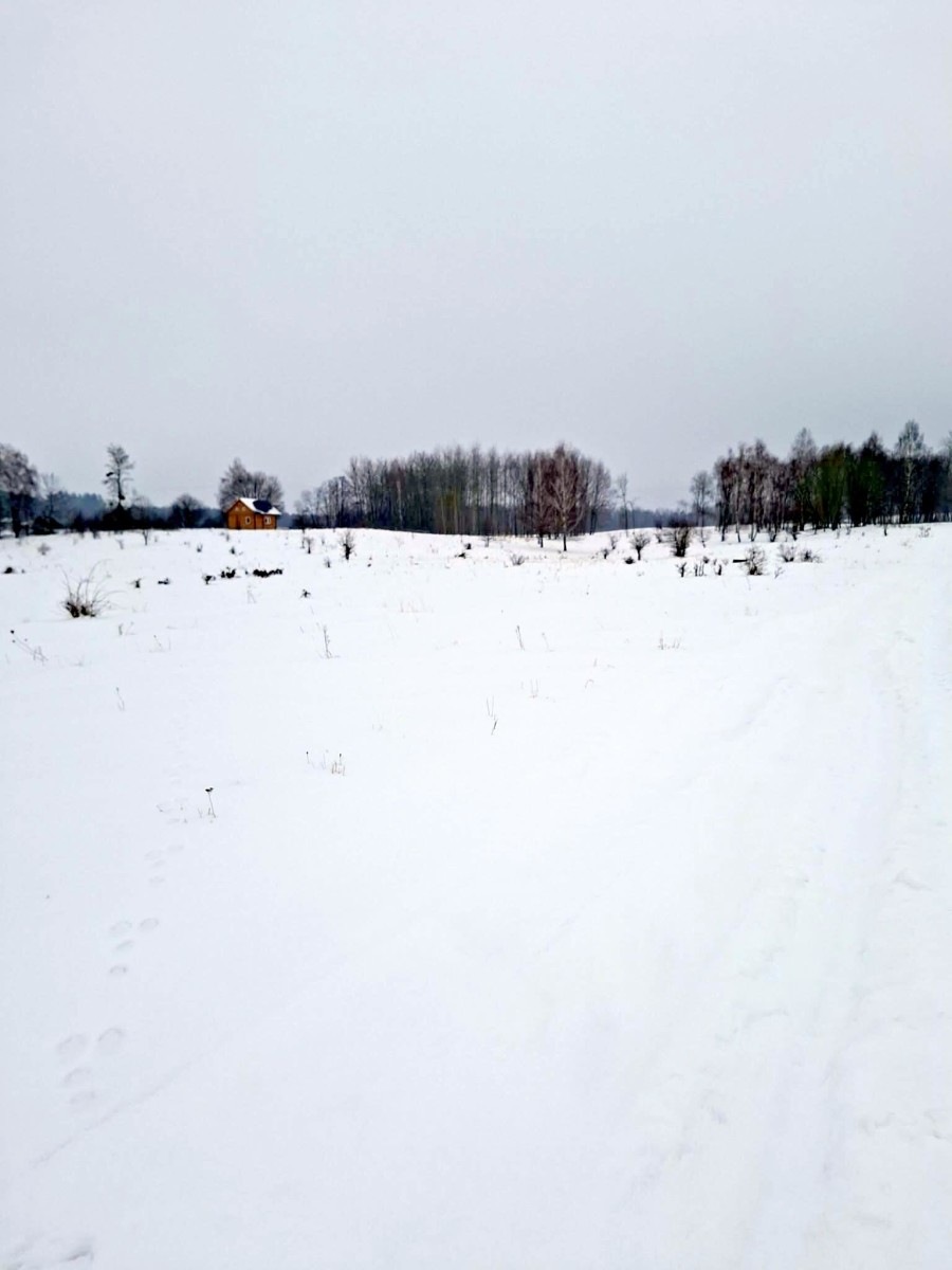 giżycki, Giżycko, Kozin, Wyjątkowe działki budowlane nad jeziorem Jagodne – Kozin gm Giżycko