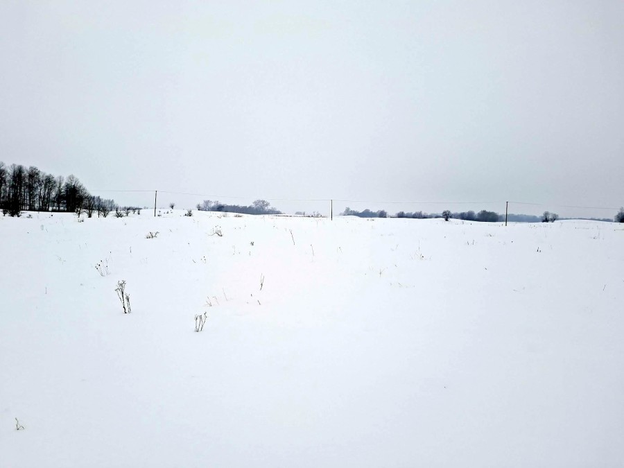 giżycki, Giżycko, Kozin, Wyjątkowe działki budowlane nad jeziorem Jagodne – Kozin gm Giżycko