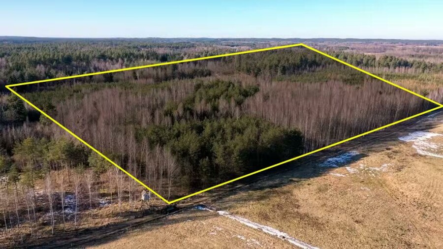 piski, Orzysz, Grzegorze, Działka Leśna 2,35 ha Grzegorze gm Orzysz