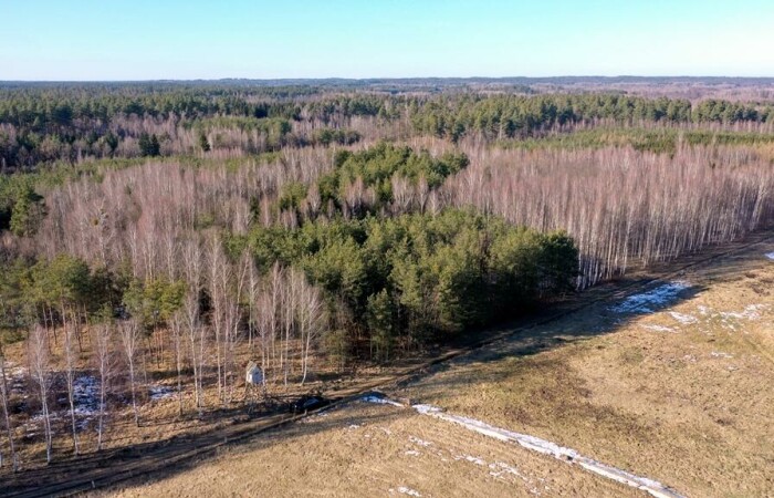 piski, Orzysz, Grzegorze, Działka Leśna 2,35 ha Grzegorze gm Orzysz