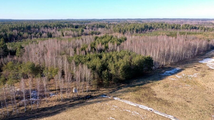 piski, Orzysz, Grzegorze, Działka Leśna 2,35 ha Grzegorze gm Orzysz