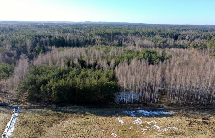 piski, Orzysz, Grzegorze, Działka Leśna 2,35 ha Grzegorze gm Orzysz