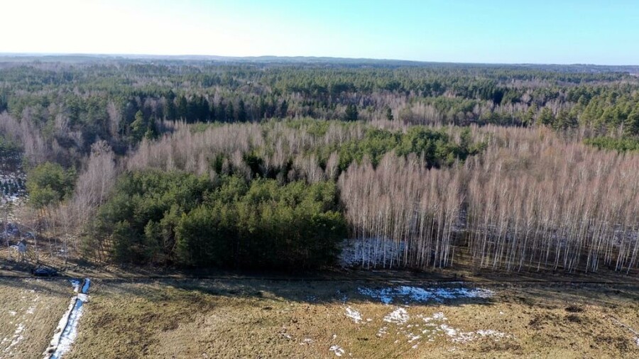 piski, Orzysz, Grzegorze, Działka Leśna 2,35 ha Grzegorze gm Orzysz