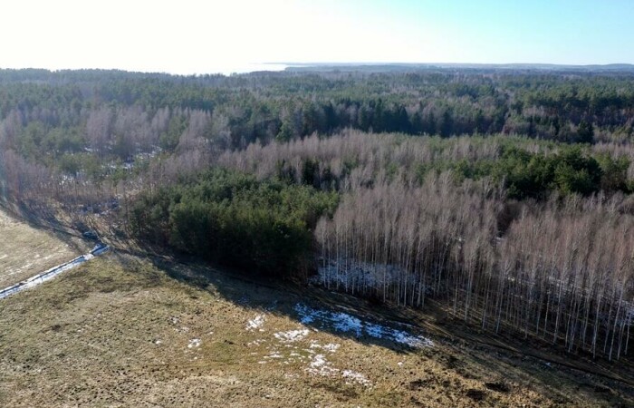 piski, Orzysz, Grzegorze, Działka Leśna 2,35 ha Grzegorze gm Orzysz