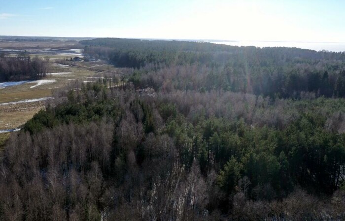 piski, Orzysz, Grzegorze, Działka Leśna 2,35 ha Grzegorze gm Orzysz