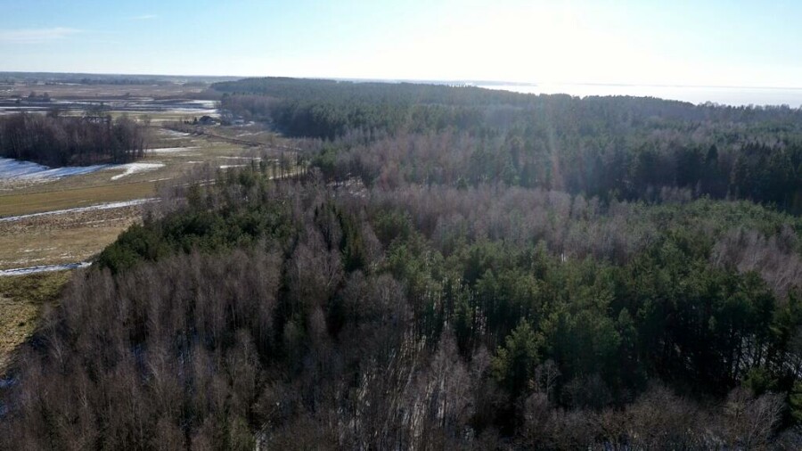 piski, Orzysz, Grzegorze, Działka Leśna 2,35 ha Grzegorze gm Orzysz