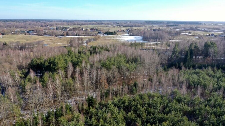 piski, Orzysz, Grzegorze, Działka Leśna 2,35 ha Grzegorze gm Orzysz