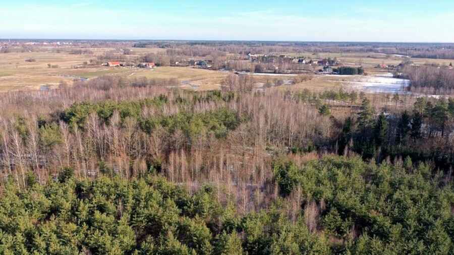 piski, Orzysz, Grzegorze, Działka Leśna 2,35 ha Grzegorze gm Orzysz