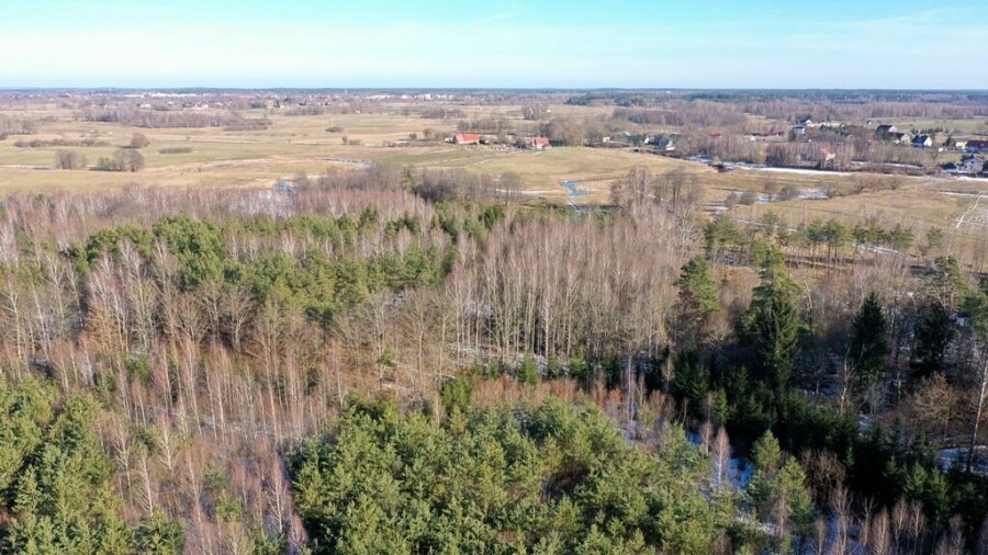 piski, Orzysz, Grzegorze, Działka Leśna 2,35 ha Grzegorze gm Orzysz