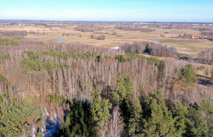 piski, Orzysz, Grzegorze, Działka Leśna 2,35 ha Grzegorze gm Orzysz