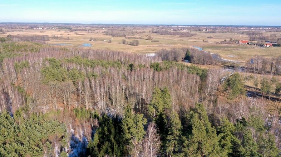 piski, Orzysz, Grzegorze, Działka Leśna 2,35 ha Grzegorze gm Orzysz