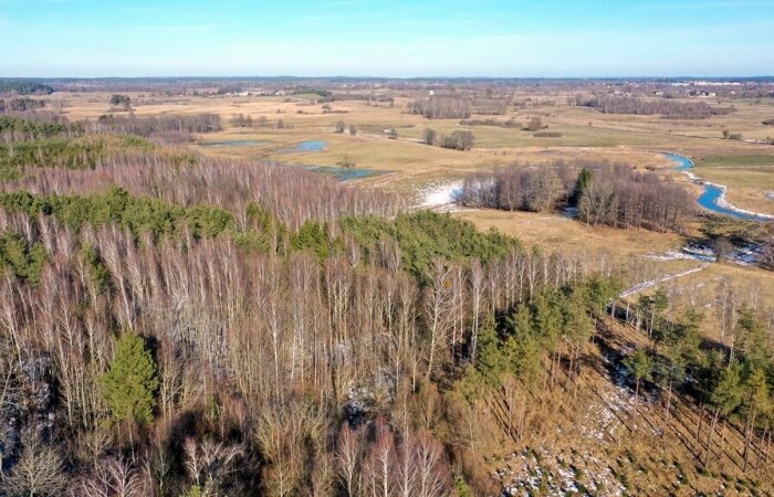 piski, Orzysz, Grzegorze, Działka Leśna 2,35 ha Grzegorze gm Orzysz