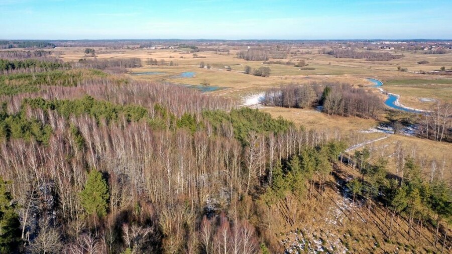 piski, Orzysz, Grzegorze, Działka Leśna 2,35 ha Grzegorze gm Orzysz