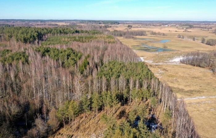 piski, Orzysz, Grzegorze, Działka Leśna 2,35 ha Grzegorze gm Orzysz