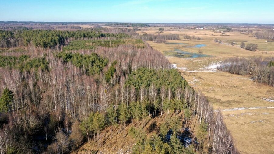 piski, Orzysz, Grzegorze, Działka Leśna 2,35 ha Grzegorze gm Orzysz