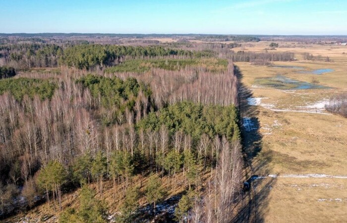 piski, Orzysz, Grzegorze, Działka Leśna 2,35 ha Grzegorze gm Orzysz