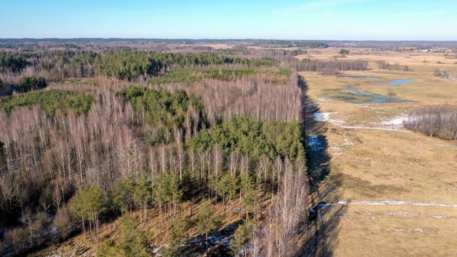 piski, Orzysz, Grzegorze, Działka Leśna 2,35 ha Grzegorze gm Orzysz